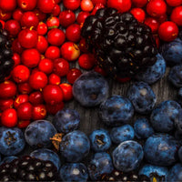 Resveratrol