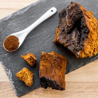 Hongo funcional Chaga