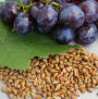 Omega 3